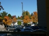 P1010398.JPG